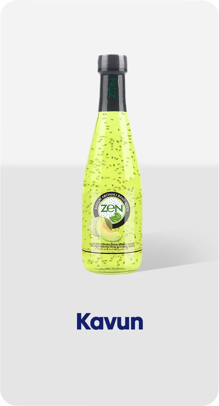 6-zen-kavun